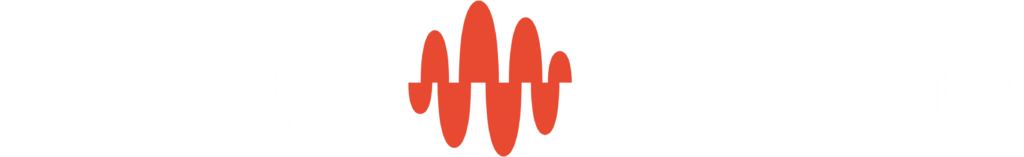 mega sound logo